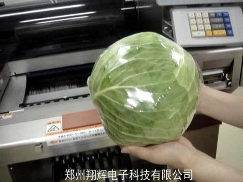 半自動蔬菜包裝機